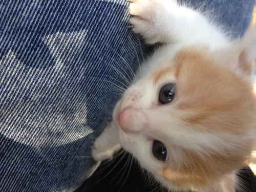 上海室內空氣質量檢測中心-上海CMA檢測報告