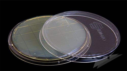 上海室內空氣質量檢測中心-上海CMA檢測報告