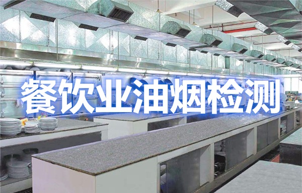 上海聚星環(huán)境檢測(cè)有限公司